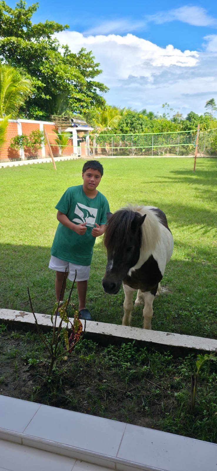 Boy in green shirt petting a black and white pony in a grassy backyard with fenced area and brick house