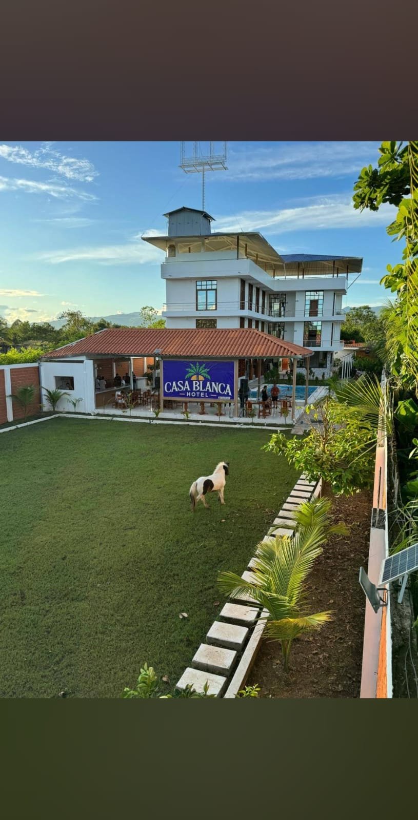 Casa Blanca Hotel with multi-story white building, manicured lawn, dog, palm trees, and tropical grounds under blue sky